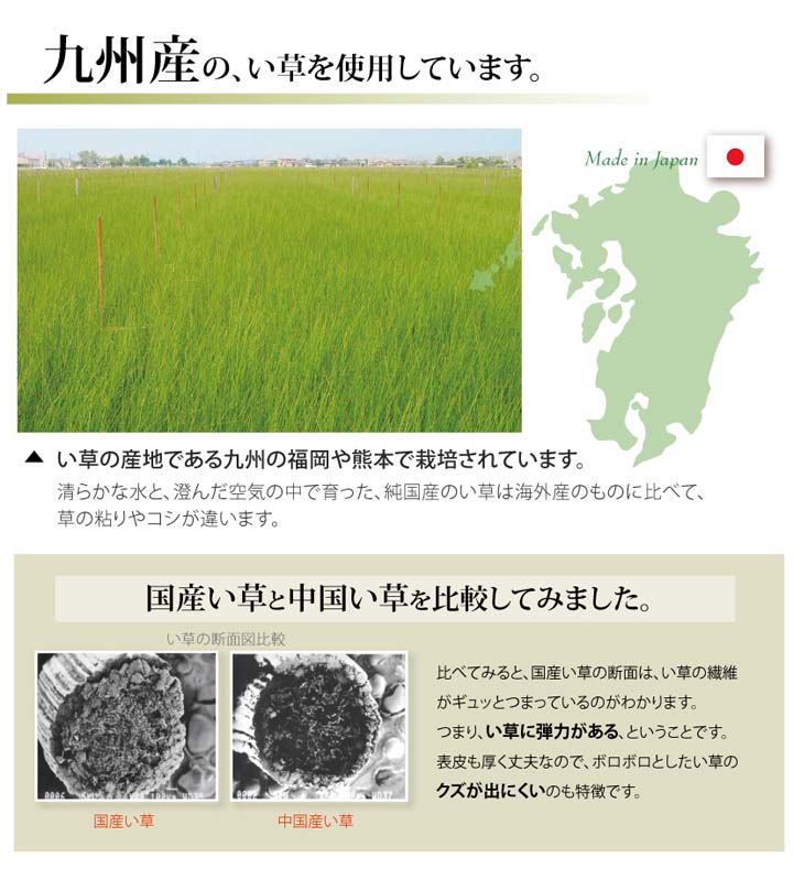 純国産 い草 上敷き カーペット 糸引織 湯沢 団地間6畳(約255×340cm