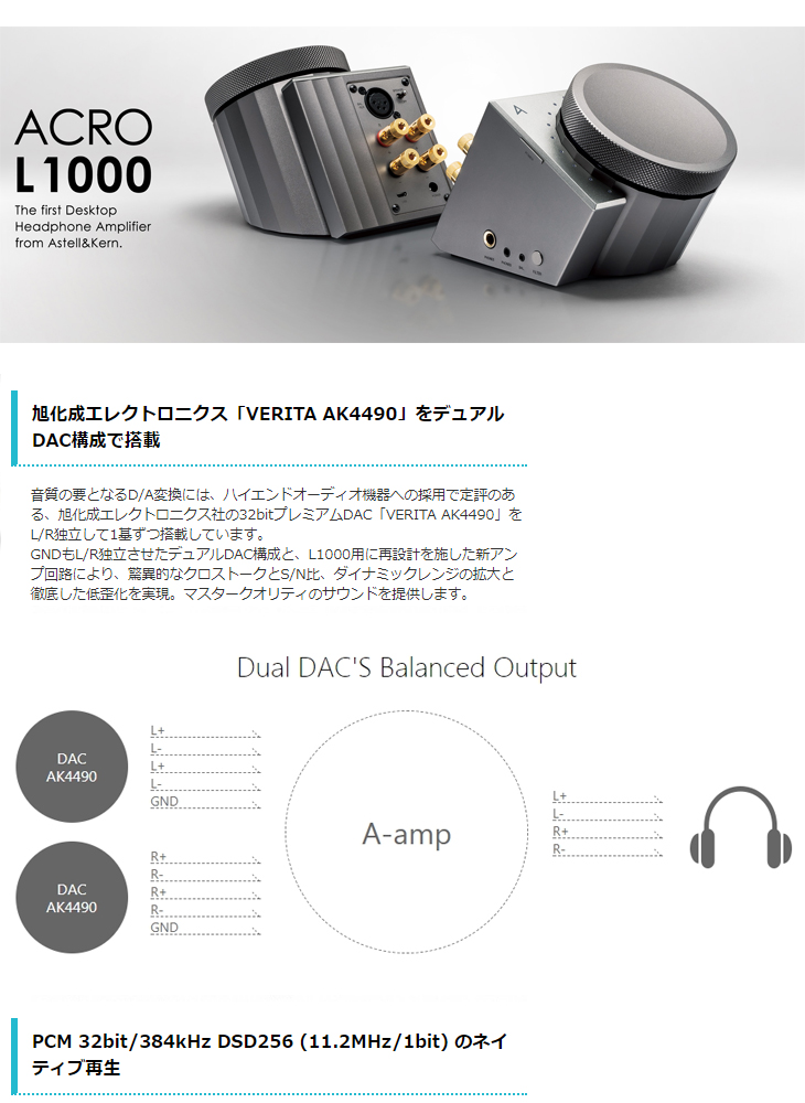 Astell&Kern DAM11 ACRO L1000-【動作確認済み】: DAM11-ACRO