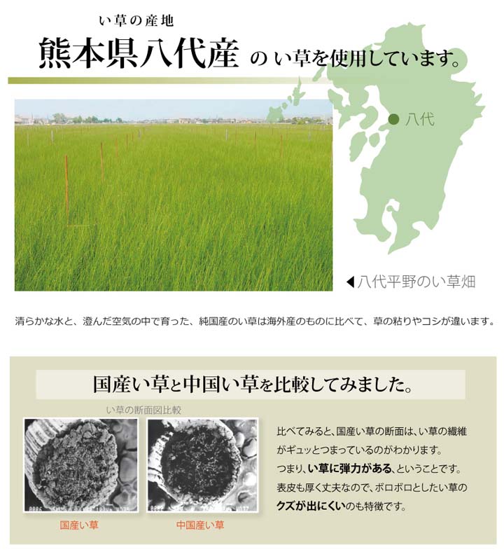 フリーカット い草 上敷き カーペット F不知火 団地間3畳(約170×255cm