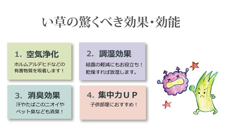 フリーカット い草 上敷き カーペット F不知火 団地間3畳(約170×255cm