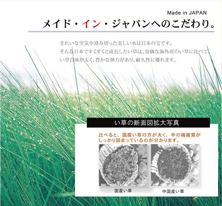 純国産 い草花ござカーペット ラビアンス ブルー 江戸間2畳(約174