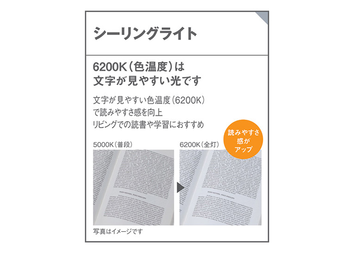 LGC3111D 天井直付型 LED（昼光色） シーリングライト プルスイッチ付