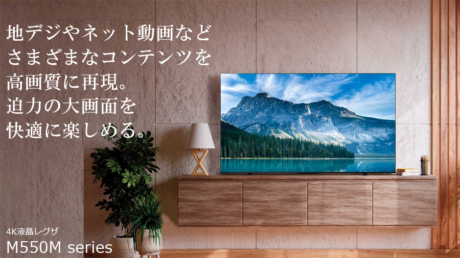TVS REGZA 【メーカー再調整品】50M550MR 50V型 4K液晶 レグザ REGZA