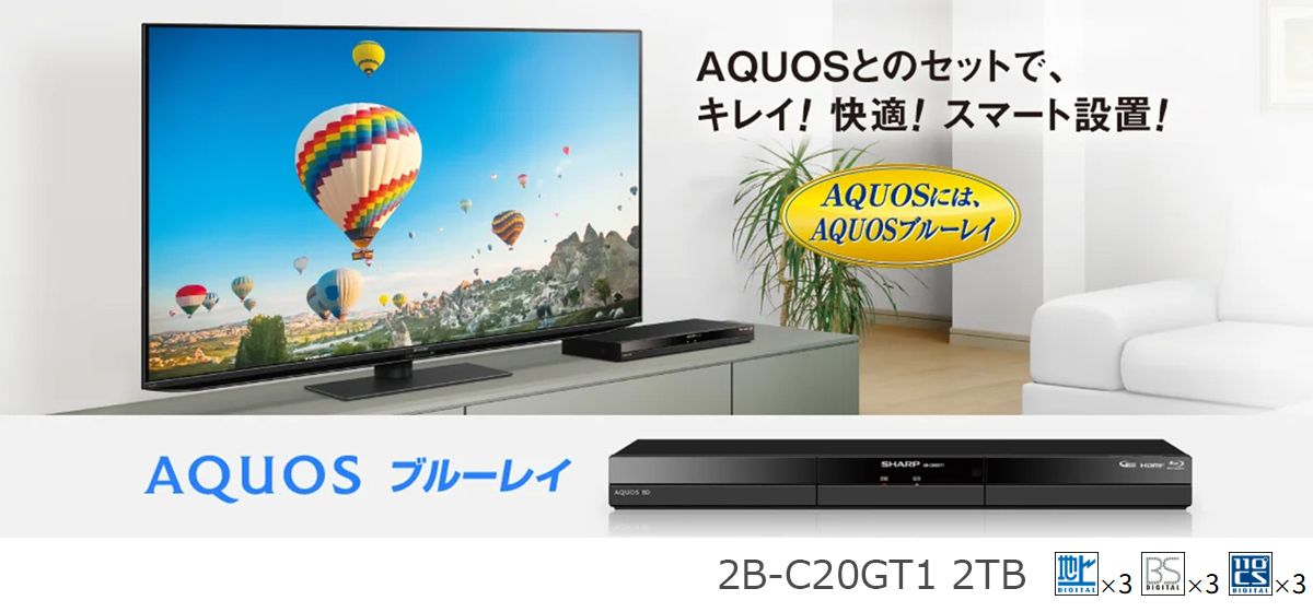 SHARP シャープ 梱包B級品 2B-C20GT1 2TB ブルーレイディスク 