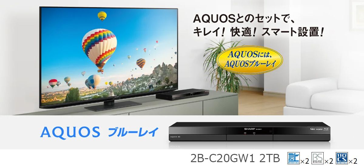 SHARP シャープ 梱包B級品 2B-C20GW1 2TB ブルーレイディスク 