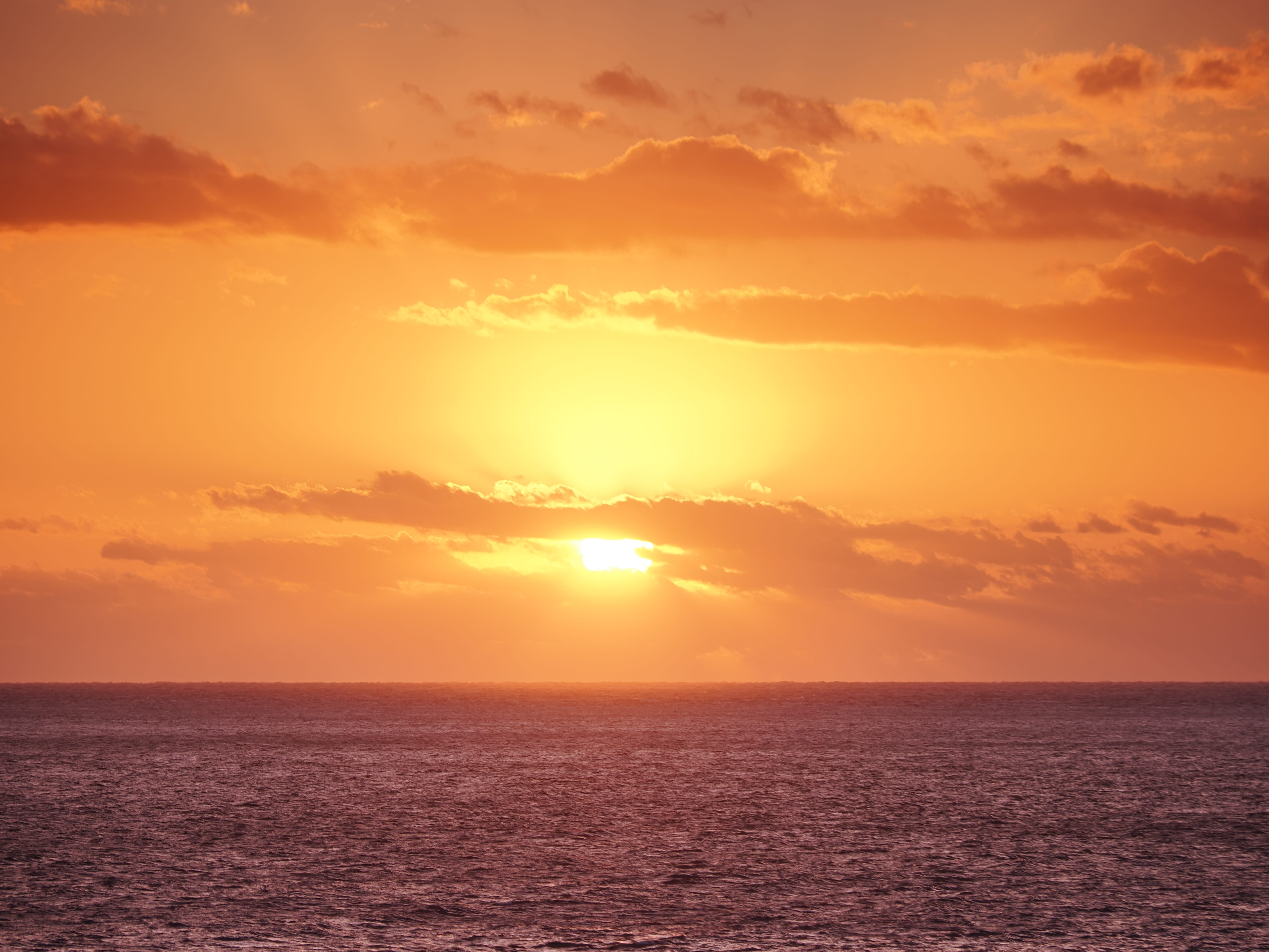 OM SYSTEM OM-3 M.ZUIKO DIGITAL ED 12-100mm F4.0 IS PRO 1/400�b,F4.0,ISO200, +1.0EV,WB�I�[�g�@�J���[�N���G�[�^�[�A���C�uGND(ND8,Soft)