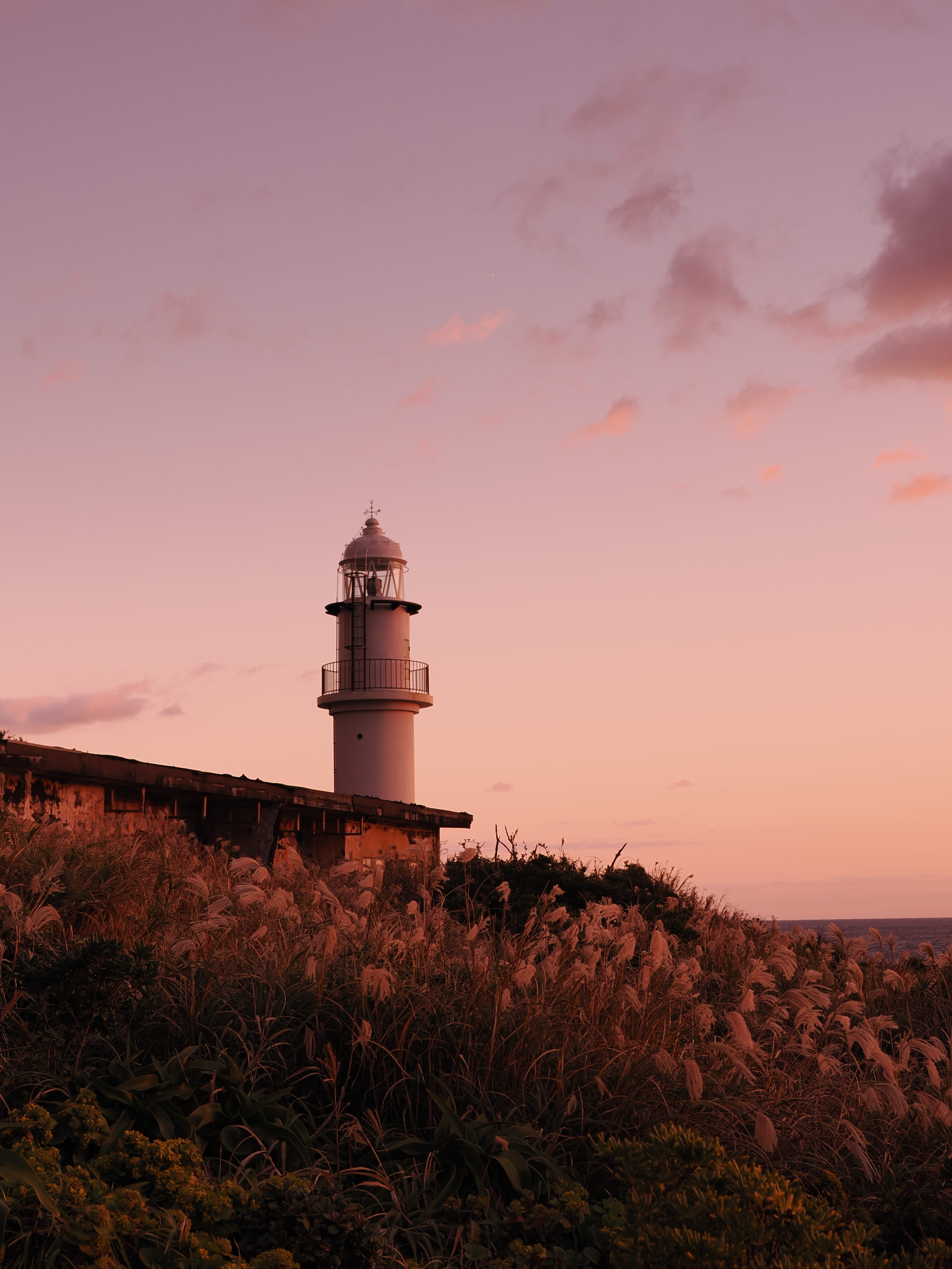 OM SYSTEM OM-3 M.ZUIKO DIGITAL ED 12-100mm F4.0 IS PRO 1/160�b,F4.0,ISO200, 0EV,WB�I�[�g�@�J���[�N���G�[�^�[�A���C�uGND(ND2,Soft)