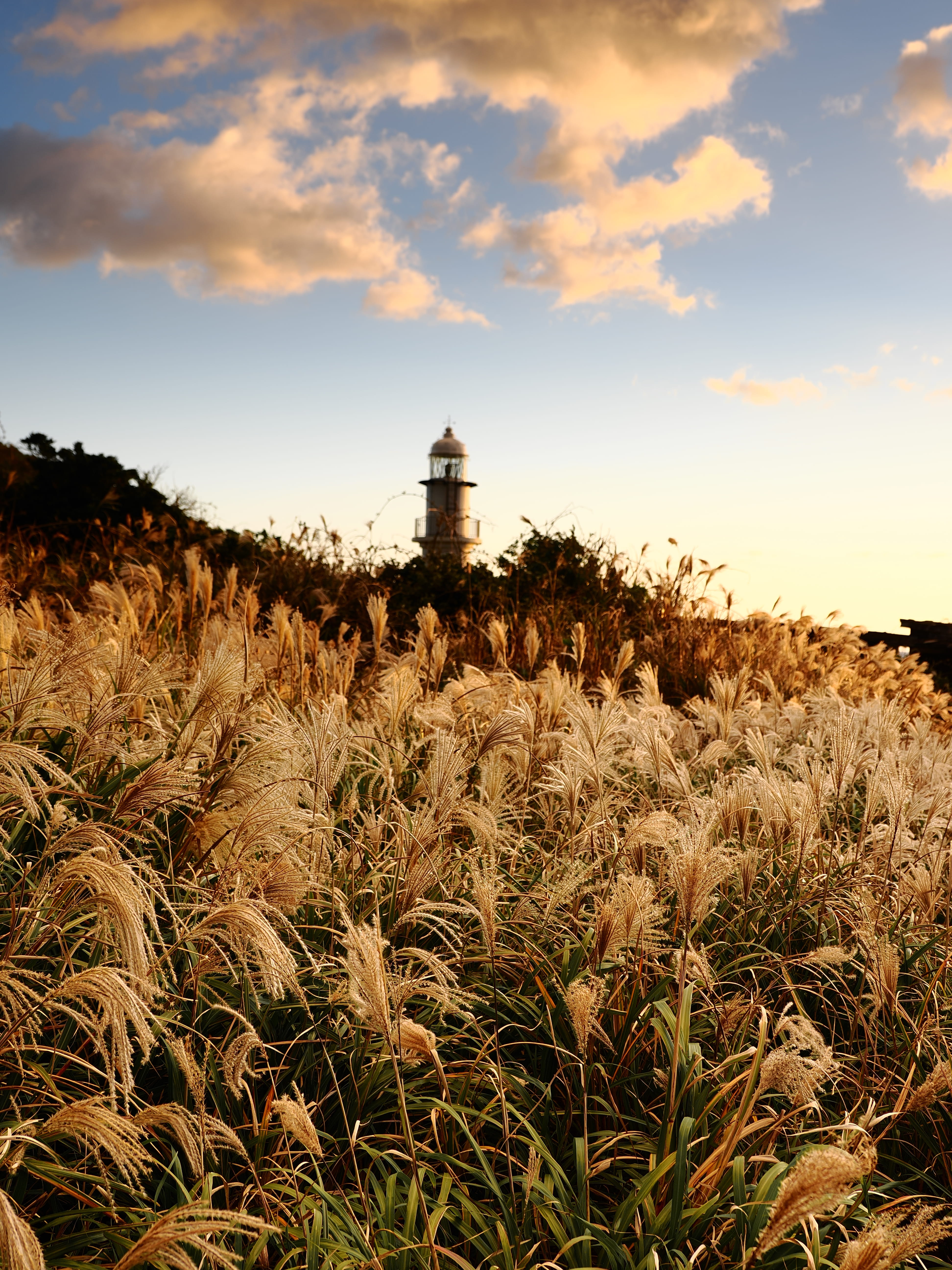 OM SYSTEM OM-3 M.ZUIKO DIGITAL ED 12-100mm F4.0 IS PRO 1/125�bF4.0,ISO200, +0.3EV,WB�I�[�g�J���[�v���t�@�C���R���g���[���A���C�uGND(ND8,Soft)