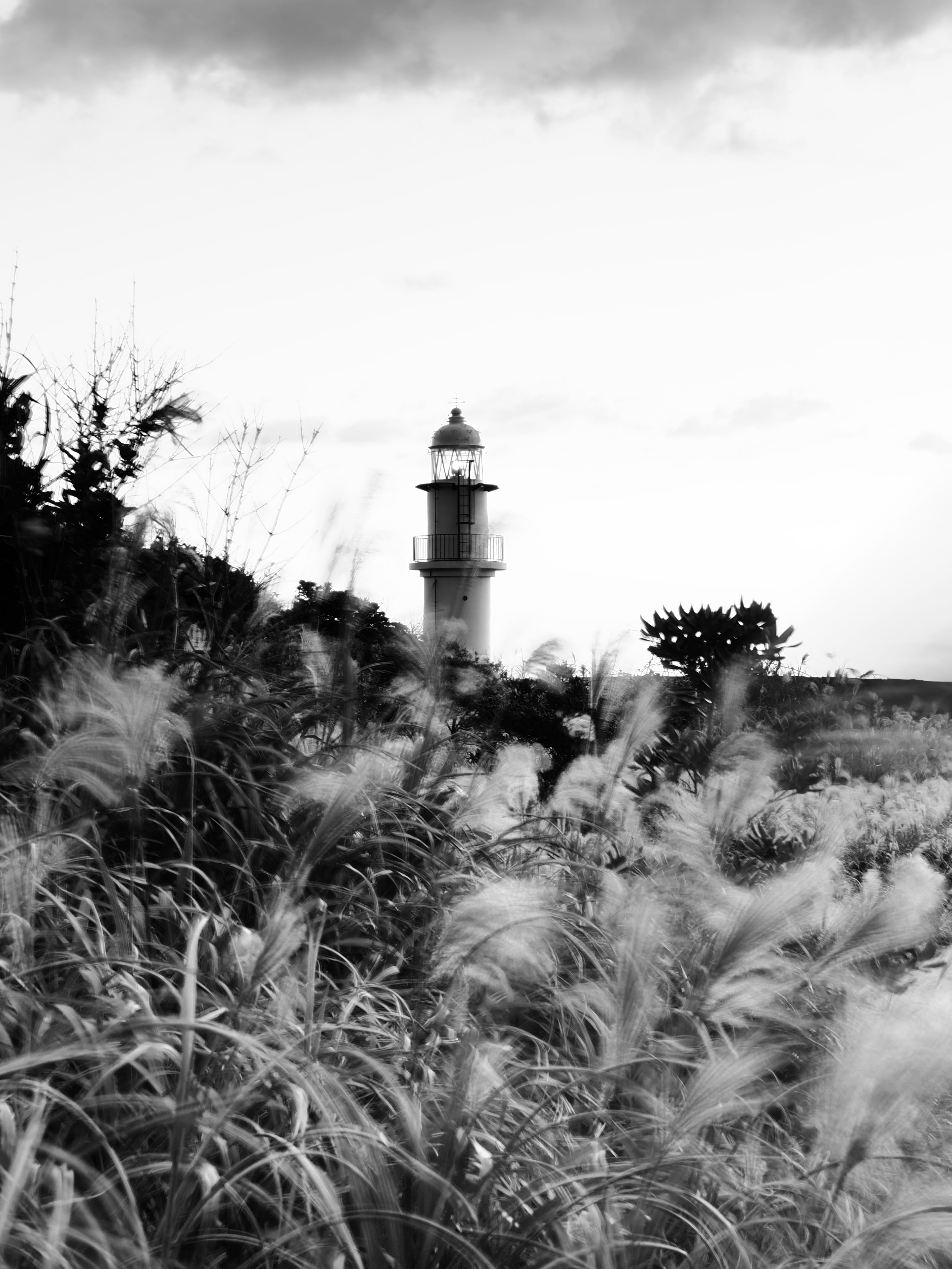 OM SYSTEM OM-3 M.ZUIKO DIGITAL ED 12-100mm F4.0 IS PRO 2.5�b,F22.0,ISO200, +0.7EV,WB�I�[�g���m�N���v���t�@�C���R���g���[���A���C�uGND(ND8,Soft)