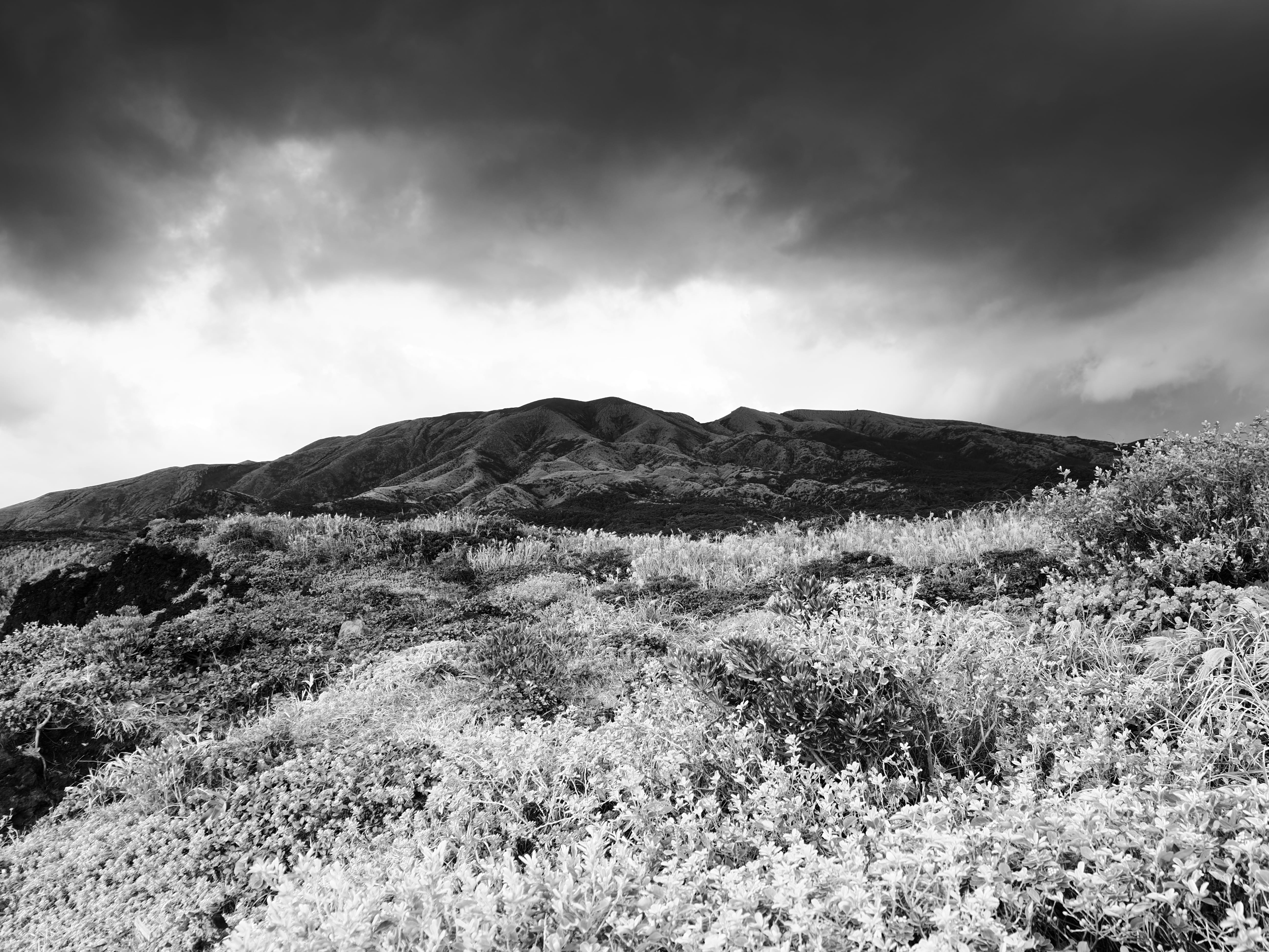 OM SYSTEM OM-3 M.ZUIKO DIGITAL ED 12-100mm F4.0 IS PRO�@1/15�b, F4.0,ISO250, +0.3EV,WB�I�[�g���m�N���v���t�@�C���R���g���[���A���C�uGND(ND8,Soft)