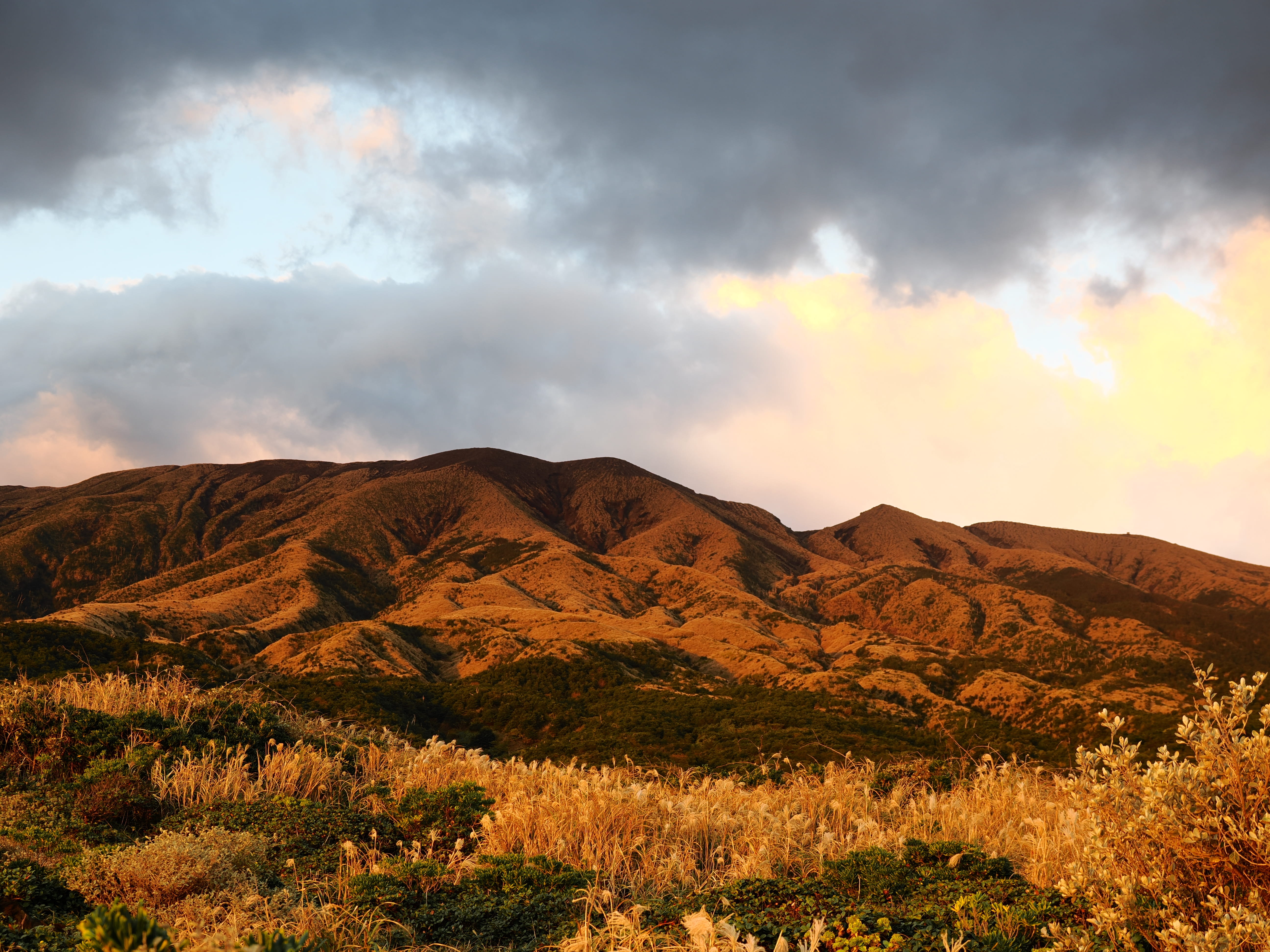 OM SYSTEM OM-3 M.ZUIKO DIGITAL ED 12-100mm F4.0 IS PRO�@1/80�b,F4.0,ISO200, 0EV,WB�I�[�g�J���[�v���t�@�C���R���g���[���A���C�uGND(ND2,Soft)