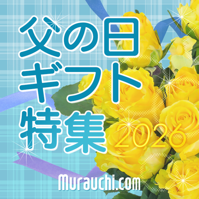 ソリマチ 販売王25販売・仕入・在庫 法令改正対応最新版 - ムラウチ