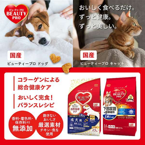セガトイズ なごみのお家 お茶犬の宿 - ムラウチドットコム